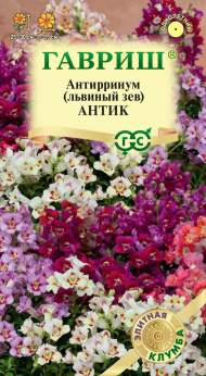 Антирринум (львиный зев) Антик смесь (гавриш) 7 шт Антирринум (львиный зев) Антик смесь (гавриш) 7 шт