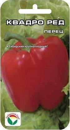 Перец сладкий Квадро ред (сибирский сад) 15 шт – купить в г. Волгоград Перец сладкий Квадро ред (сибирский сад) 15 шт – купить в г. Волгоград