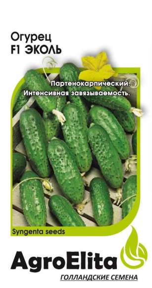 Огурец Эколь F1 (агроэлита) 5шт  – купить в г. Волгоград