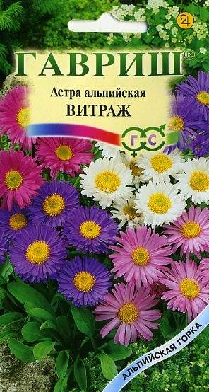 Астра альпийская Витраж (гавриш) 0,05 гр многолетняя  – купить в г. Волгоград