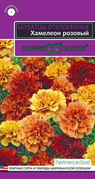 Бархатцы Хамелеон розовый (гавриш) 5 шт – купить в г. Волгоград Бархатцы Хамелеон розовый (гавриш) 5 шт – купить в г. Волгоград