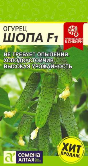 Огурец Шопа F1 (семена Алтая) 5шт  – купить в г. Волгоград