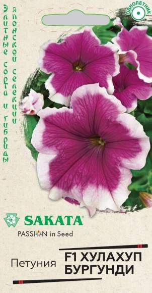 Петуния Хулахуп Бургунди F1 (гавриш) 5шт  – купить в г. Волгоград