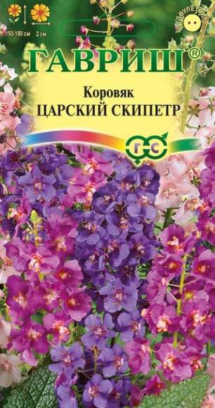 Коровяк Царский скипетр (гавриш) 0,05гр  – купить в г. Волгоград