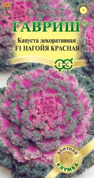 Капуста декоративная Нагойя красная F1 (гавриш) 6 шт  – купить в г. Волгоград