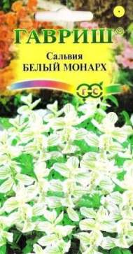 Сальвия Белый монарх (гавриш) 0,05гр Сальвия Белый монарх (гавриш) 0,05гр