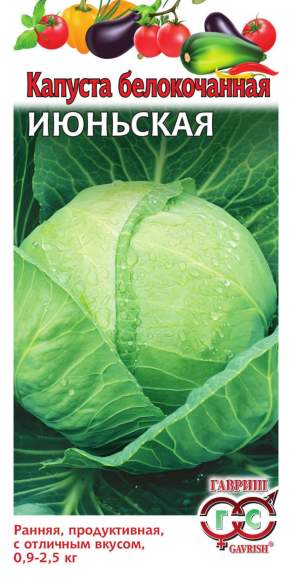 Капуста белокочанная Июньская (гавриш) 0,5 гр – купить в г. Волгоград Капуста белокочанная Июньская (гавриш) 0,5 гр – купить в г. Волгоград