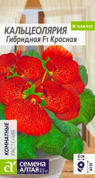 Кальцеолярия гибридная красная F1 (семена Алтая) 5шт