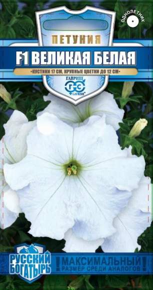 Петуния Великая белая F1 (гавриш) 7шт – купить в г. Волгоград Петуния Великая белая F1 (гавриш) 7шт – купить в г. Волгоград