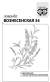 Лаванда Вознесенская (гавриш) белый пакет 0,05 гр  – купить в г. Волгоград
