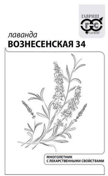 Лаванда Вознесенская (гавриш) белый пакет 0,05 гр  – купить в г. Волгоград