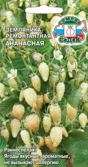 Земляника Ананасная (седек) 0,04 гр  – купить в г. Волгоград