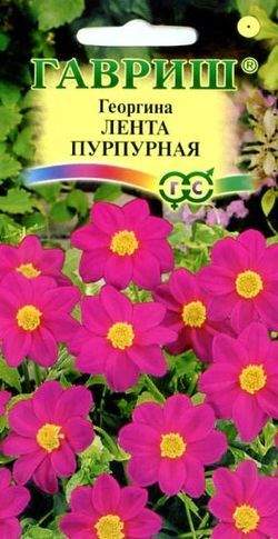 Георгина Лента пурпурная (г) 0,2гр  – купить в г. Волгоград