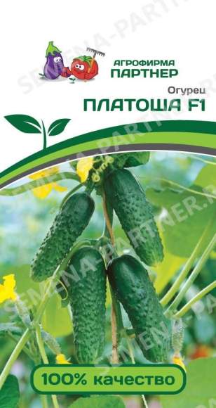 Огурец Платоша F1 (партнер) 5 шт  – купить в г. Волгоград