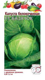 Капуста б/к Казачок F1 (г) 10 шт Капуста б/к Казачок F1 (г) 10 шт