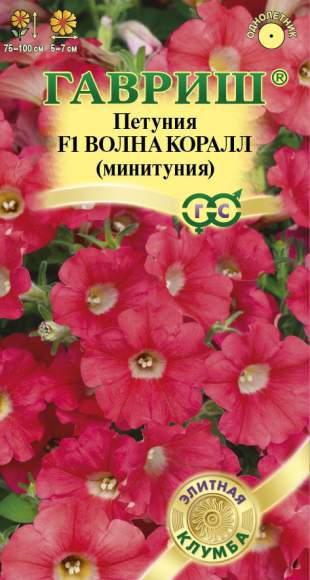 Петуния суперкаскадная Волна коралл F1 минитуния (гавриш) 4шт – купить в г. Волгоград Петуния суперкаскадная Волна коралл F1 минитуния (гавриш) 4шт – купить в г. Волгоград