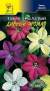 Душистый декоративный табак Дивный аромат (цветущий сад) 0,2 гр  – купить в г. Волгоград