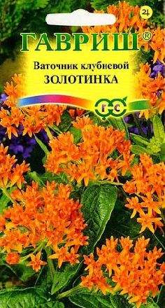 Ваточник Золотинка (гавриш) 0,03 гр  – купить в г. Волгоград