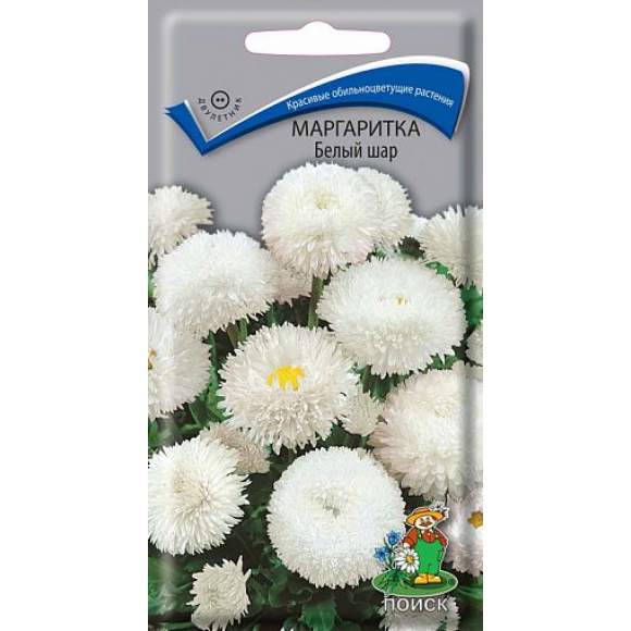 Маргаритка Белый шар (поиск) 0,05гр  – купить в г. Волгоград