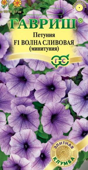 Петуния суперкаскадная Волна сливовая F1 минитуния (гавриш) 4 шт