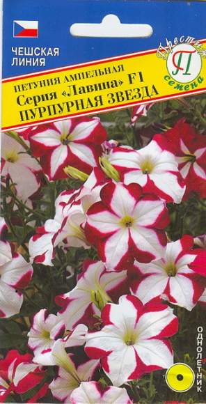 Петуния ампельная Лавина Пурпурная звезда F1 (престиж) 10 шт  – купить в г. Волгоград