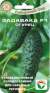 Огурец Задавака F1 (сибирский сад) 7 шт  – купить в г. Волгоград
