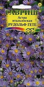 Астра итальянская Рудольф Гете (гавриш) 0,05гр многолетняя  – купить в г. Волгоград