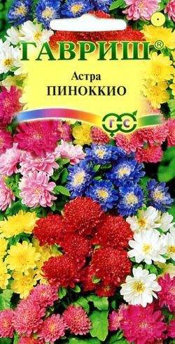 Астра  Пиноккио смесь (гавриш) 0,3 гр  – купить в г. Волгоград