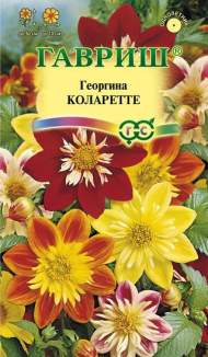 Георгина Коларетте (гавриш) 0,2 гр Георгина Коларетте (гавриш) 0,2 гр