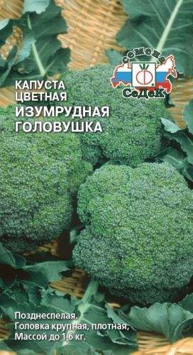 Капуста цветная Изумрудная головушка (с) 0,5гр  – купить в г. Волгоград