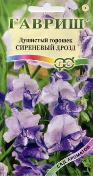 Душистый горошек Сиреневый дрозд (гавриш) 0,5 гр