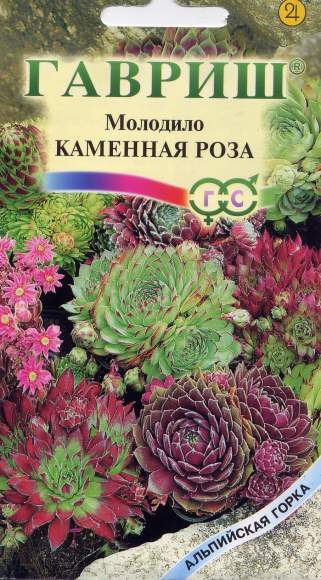 Молодило Каменная роза (гавриш) 0,01гр  – купить в г. Волгоград