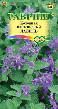Котовник кистевидный Лавиль (гавриш) 0,03 гр Котовник кистевидный Лавиль (гавриш) 0,03 гр