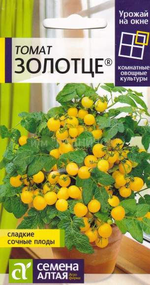 Томат Золотце (семена Алтая) 0,05гр – купить в г. Волгоград Томат Золотце (семена Алтая) 0,05гр – купить в г. Волгоград