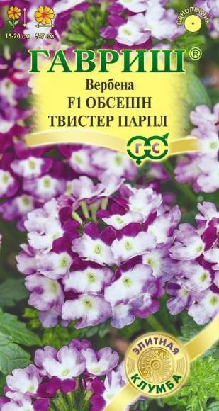 Вербена Обсешн твистер парпл F1 (гавриш) 4 шт – купить в г. Волгоград Вербена Обсешн твистер парпл F1 (гавриш) 4 шт – купить в г. Волгоград