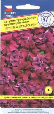 Петуния Грандифлора крупноцветковая Пурпурная низкорослая F1 (престиж) 5 шт