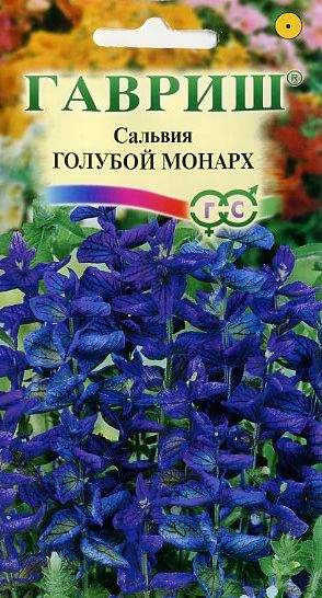 Сальвия Голубой монарх (гавриш) 0,05гр  – купить в г. Волгоград