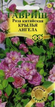 Роза китайская Крылья ангела (гавриш) 5 шт Роза китайская Крылья ангела (гавриш) 5 шт