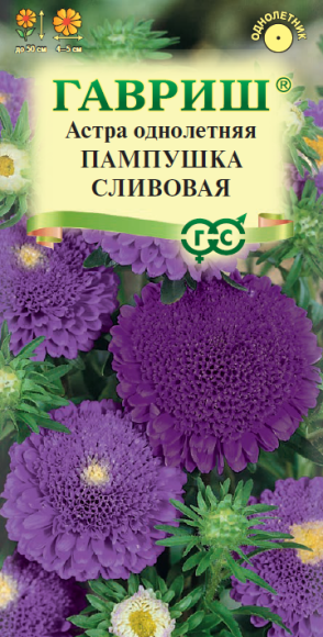Астра Пампушка сливовая (г) 0,3гр  – купить в г. Волгоград