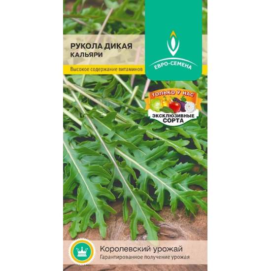 Рукола дикая Кальяри (евро семена) 0,5гр  – купить в г. Волгоград