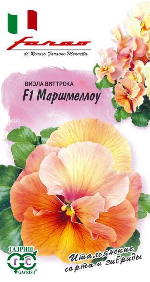 Виола Виттрока Маршмеллоу F1 (гавриш) 5 шт  – купить в г. Волгоград