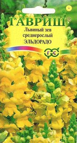 Антирринум (львиный зев) Эльдорадо (гавриш) 0,05 гр  – купить в г. Волгоград