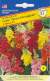 Львиный зев Мадам Баттерфляй F1 (престиж) 10 шт  – купить в г. Волгоград