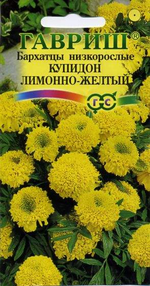Бархатцы Купидон лимонно-желтый (гавриш) 0,05гр  – купить в г. Волгоград
