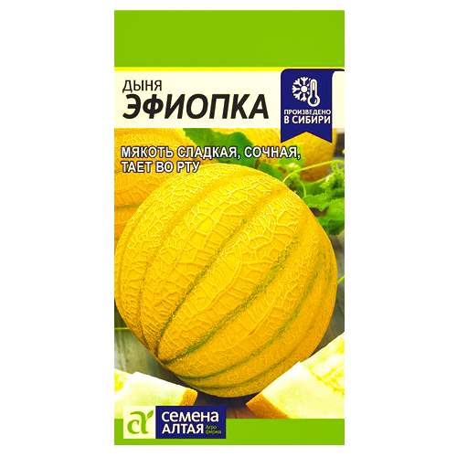 Дыня Эфиопка (семена Алтая) 1,0гр – купить в г. Волгоград Дыня Эфиопка (семена Алтая) 1,0гр – купить в г. Волгоград