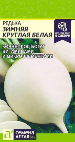 Редька Зимняя круглая белая (семена Алтая) 1,0гр  – купить в г. Волгоград
