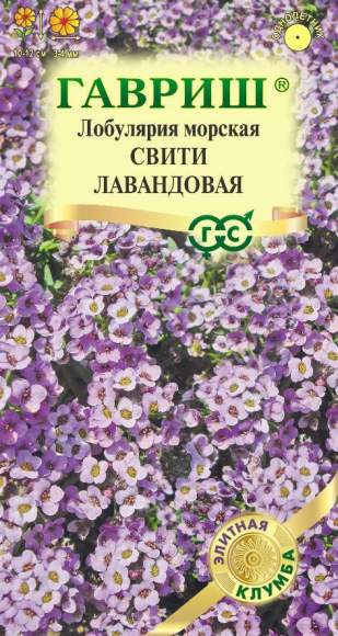 Лобулярия морская Свити Лавандовая (гавриш) 15 шт  – купить в г. Волгоград