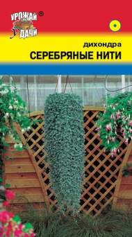 Дихондра Серебряные нити (урожай удачи) 0,01 гр Дихондра Серебряные нити (урожай удачи) 0,01 гр