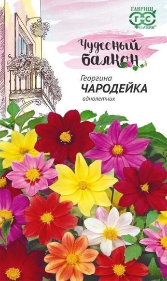 Георгина Чародейка (гавриш) 0,3 гр – купить в г. Волгоград Георгина Чародейка (гавриш) 0,3 гр – купить в г. Волгоград