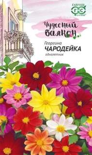 Георгина Чародейка (гавриш) 0,3 гр Георгина Чародейка (гавриш) 0,3 гр